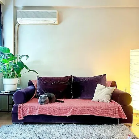 Cozy House Apartment *
