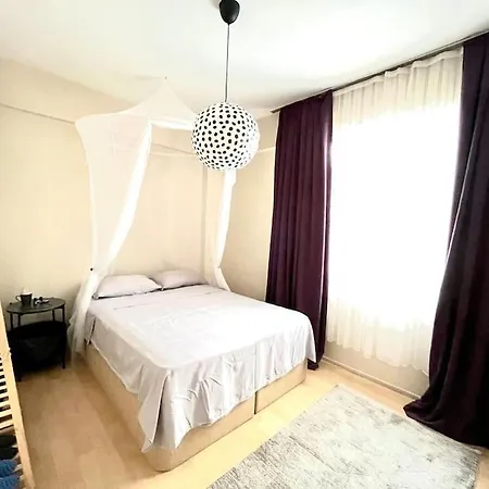 Cozy House